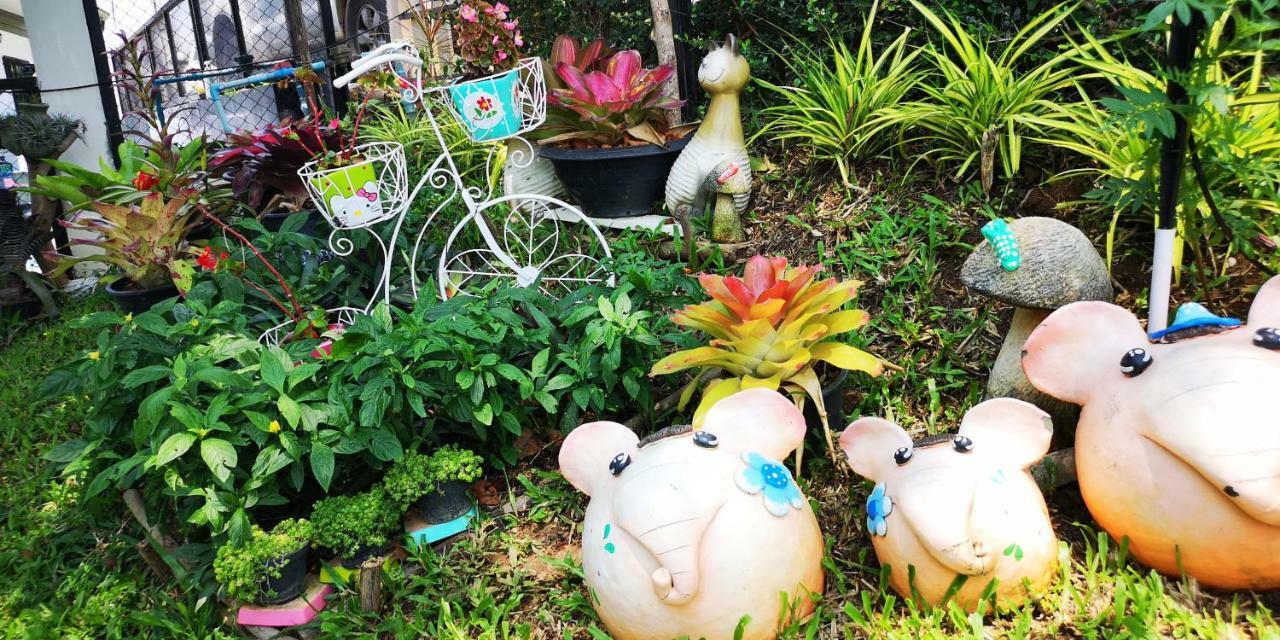 บ้านปลายฝัน Baanplaifun Banhuajphaj Kültér fotó